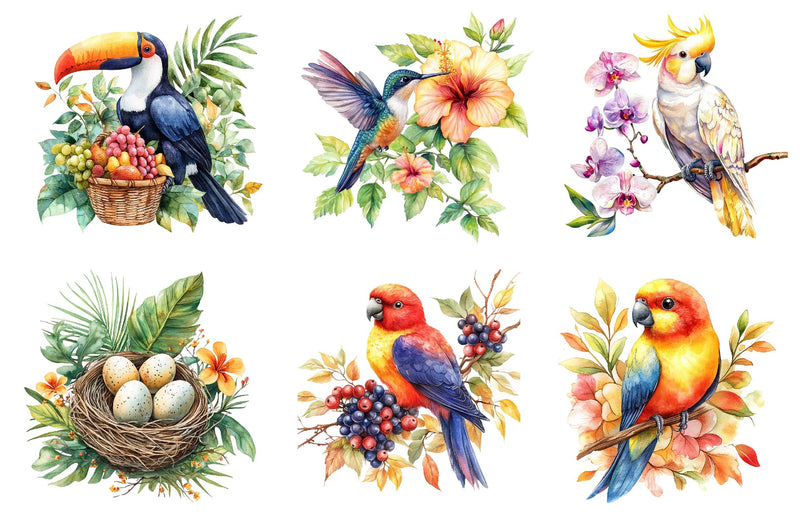 Tropical Birds Garden Clipart Bundle - CraftNest - Digital Crafting and Art