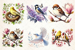 Spring Birds Clipart Bundle 3 - CraftNest - Digital Crafting and Art