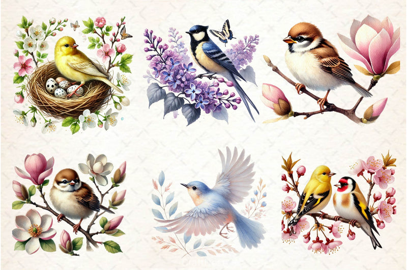 Spring Birds Clipart Bundle 3 - CraftNest - Digital Crafting and Art