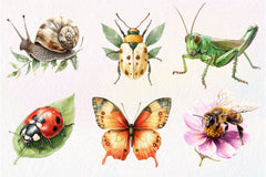 Vintage Spring Insect Clipart Bundle 56 - CraftNest - Digital Crafting and Art