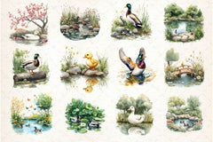 Springtime Duck Pond Clipart Bundle 2 - CraftNest - Digital Crafting and Art