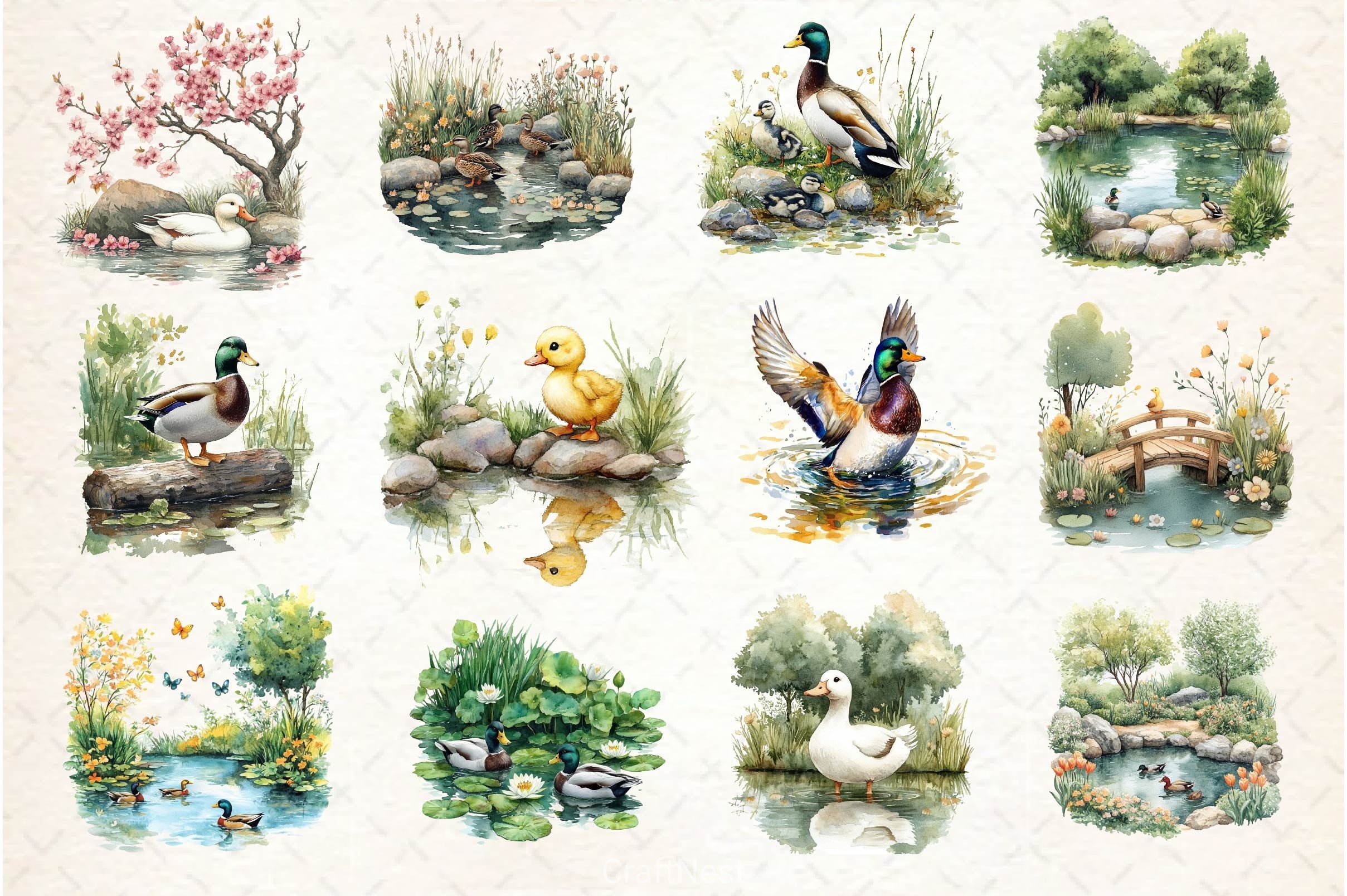 Springtime Duck Pond Clipart Bundle 2 - CraftNest - Digital Crafting and Art