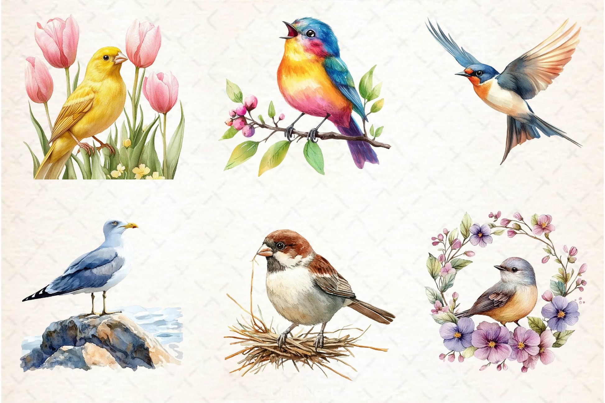 Spring Birds Clipart Bundle 5 - CraftNest - Digital Crafting and Art