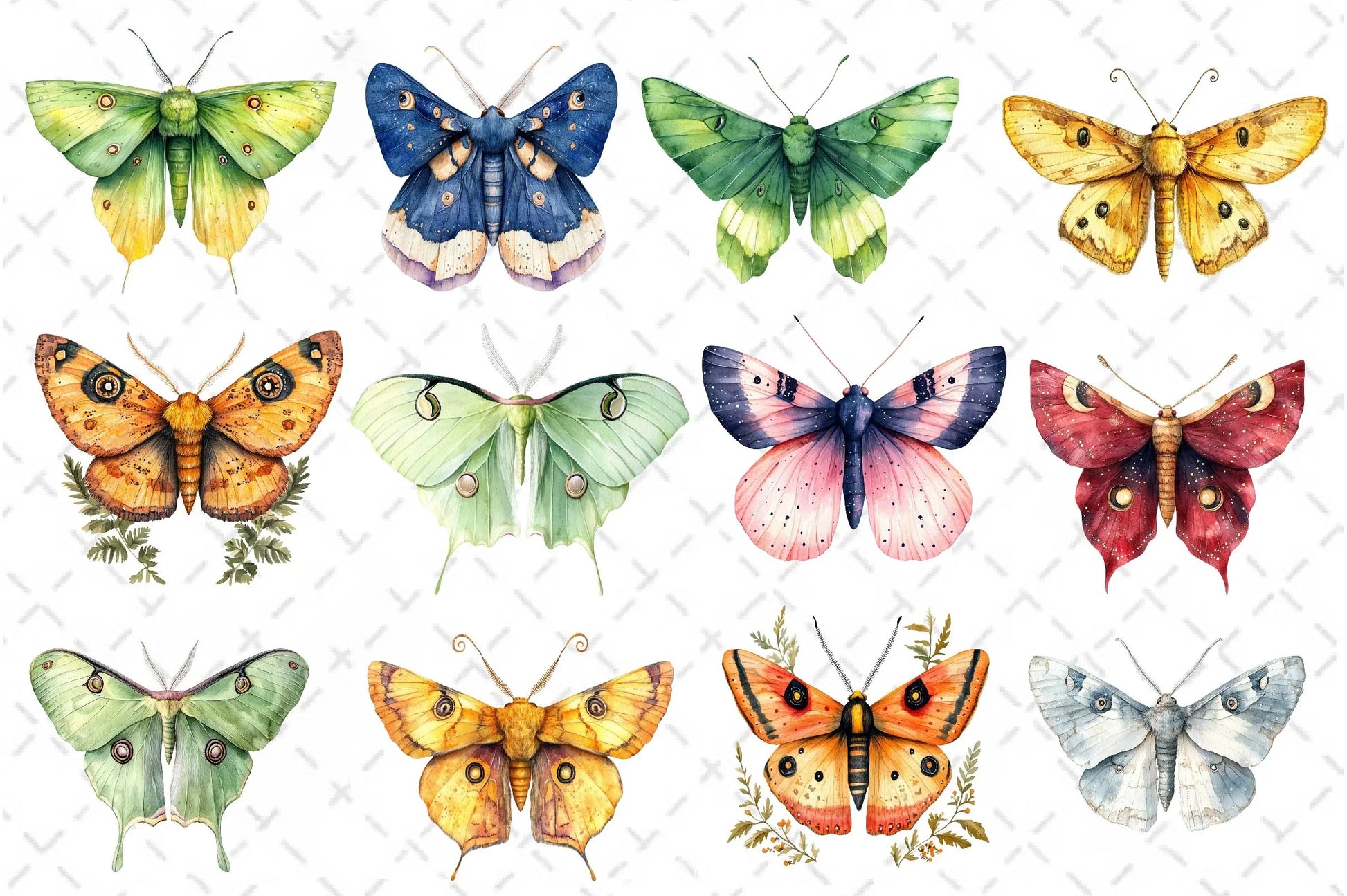 Insects Butterfly & Moth Clipart Bundle - CraftNest - Digital Crafting and Art