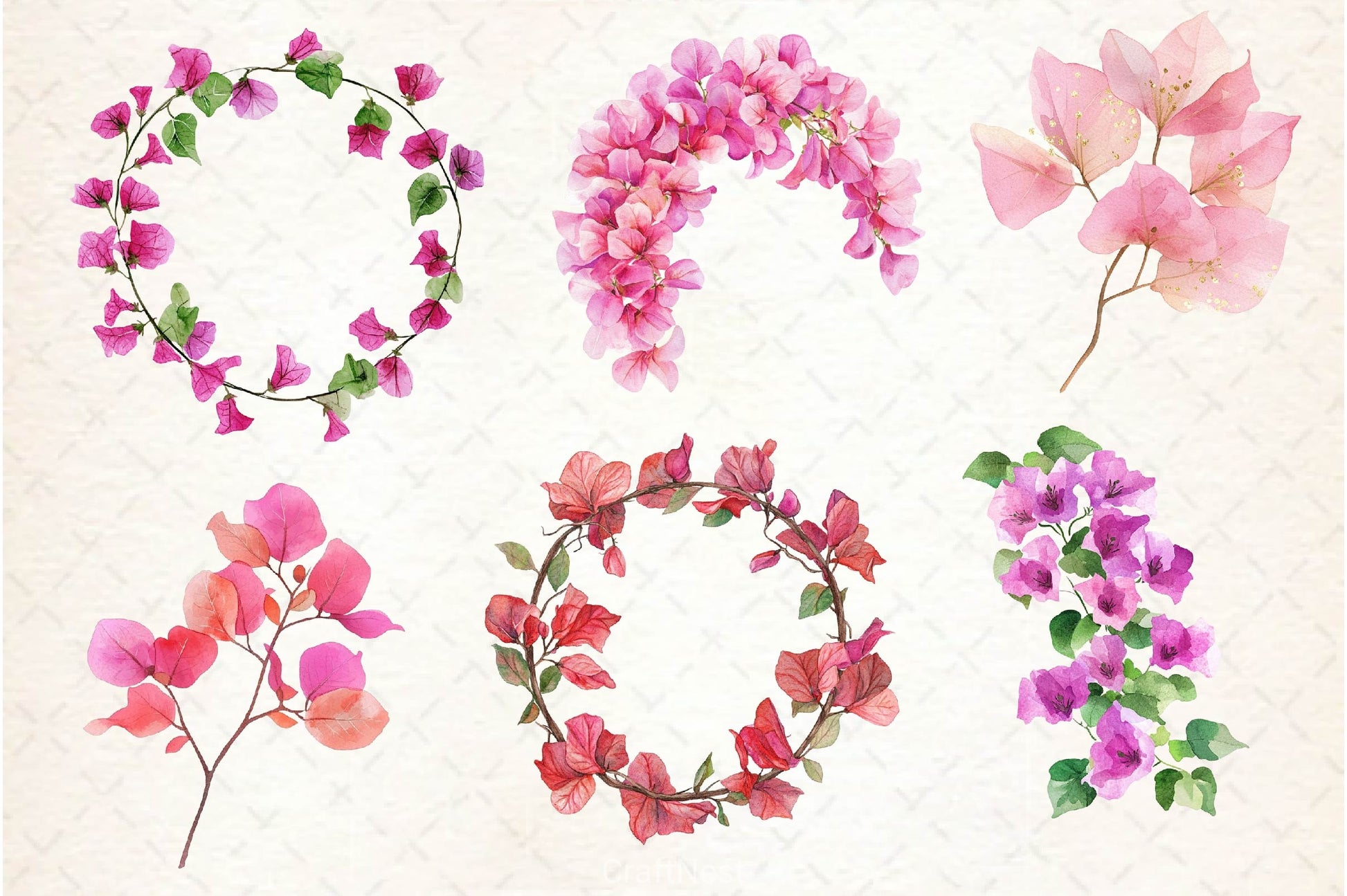 Bougainvillea Flower Clipart Bundle 5 - CraftNest - Digital Crafting and Art