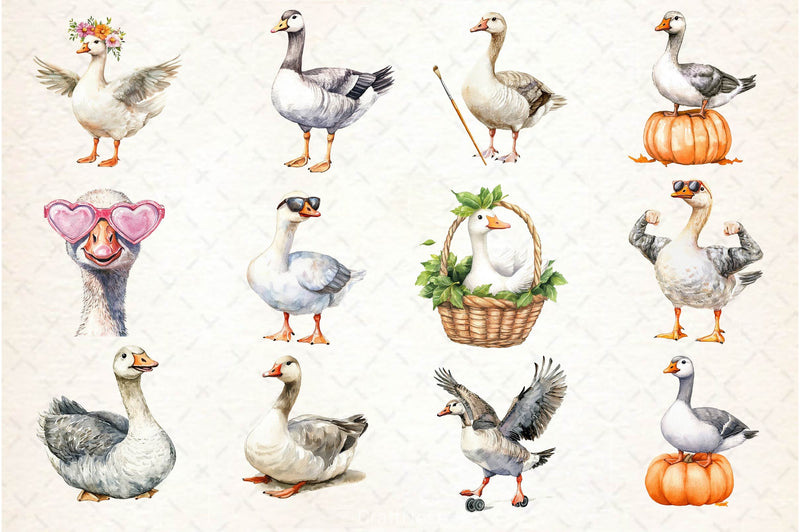 Silly Goose Clipart Bundle 4 - CraftNest - Digital Crafting and Art