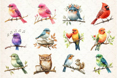 Cute Funny Birds Clipart Bundle - CraftNest - Digital Crafting and Art