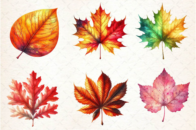 Autumn Leaf Clipart Bundle - CraftNest - Digital Crafting and Art