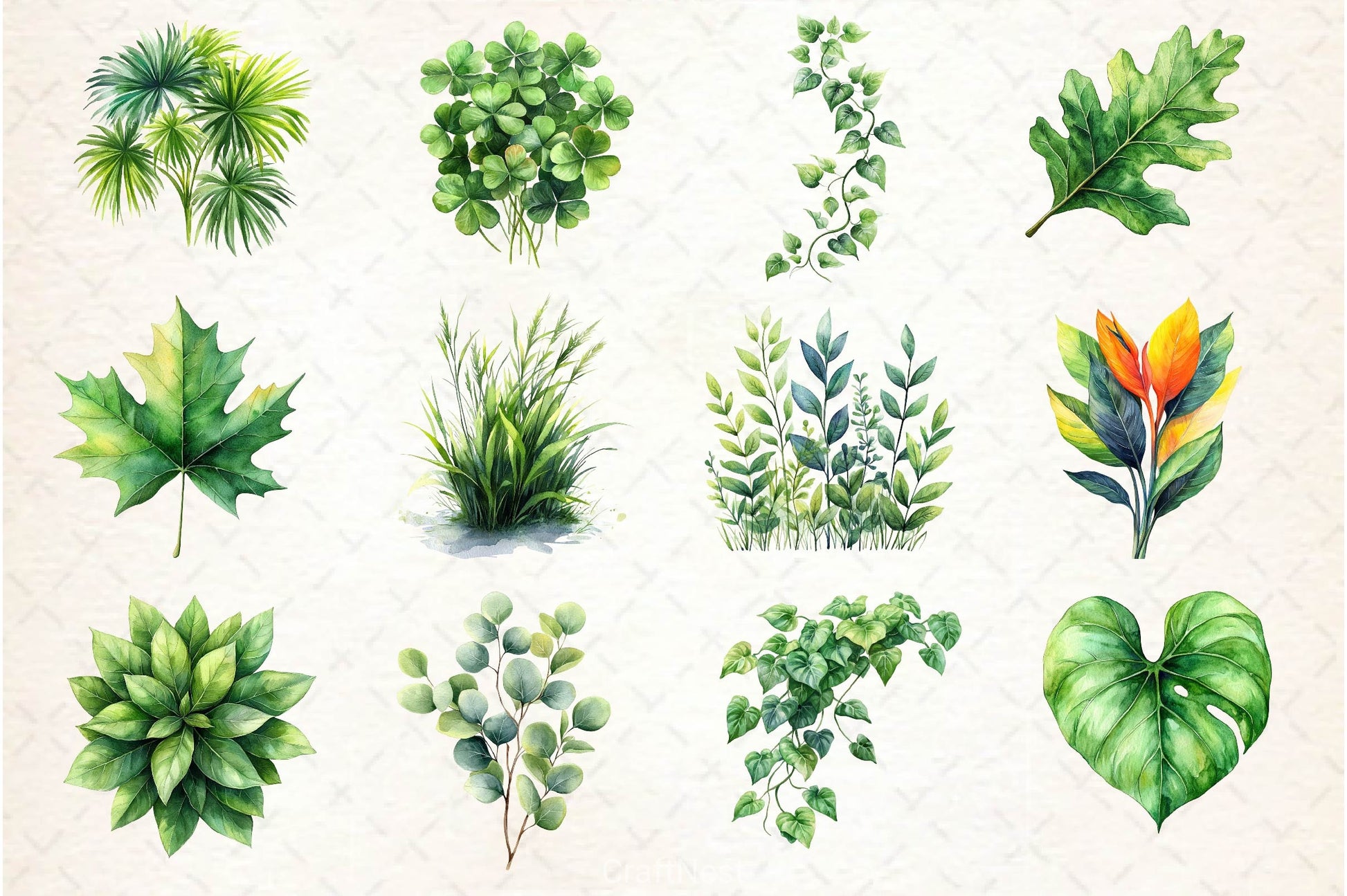 Green Summer Foliage Clipart Bundle 2 - CraftNest - Digital Crafting and Art