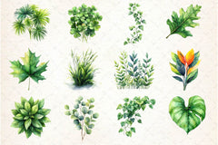 Green Summer Foliage Clipart Bundle 2 - CraftNest - Digital Crafting and Art