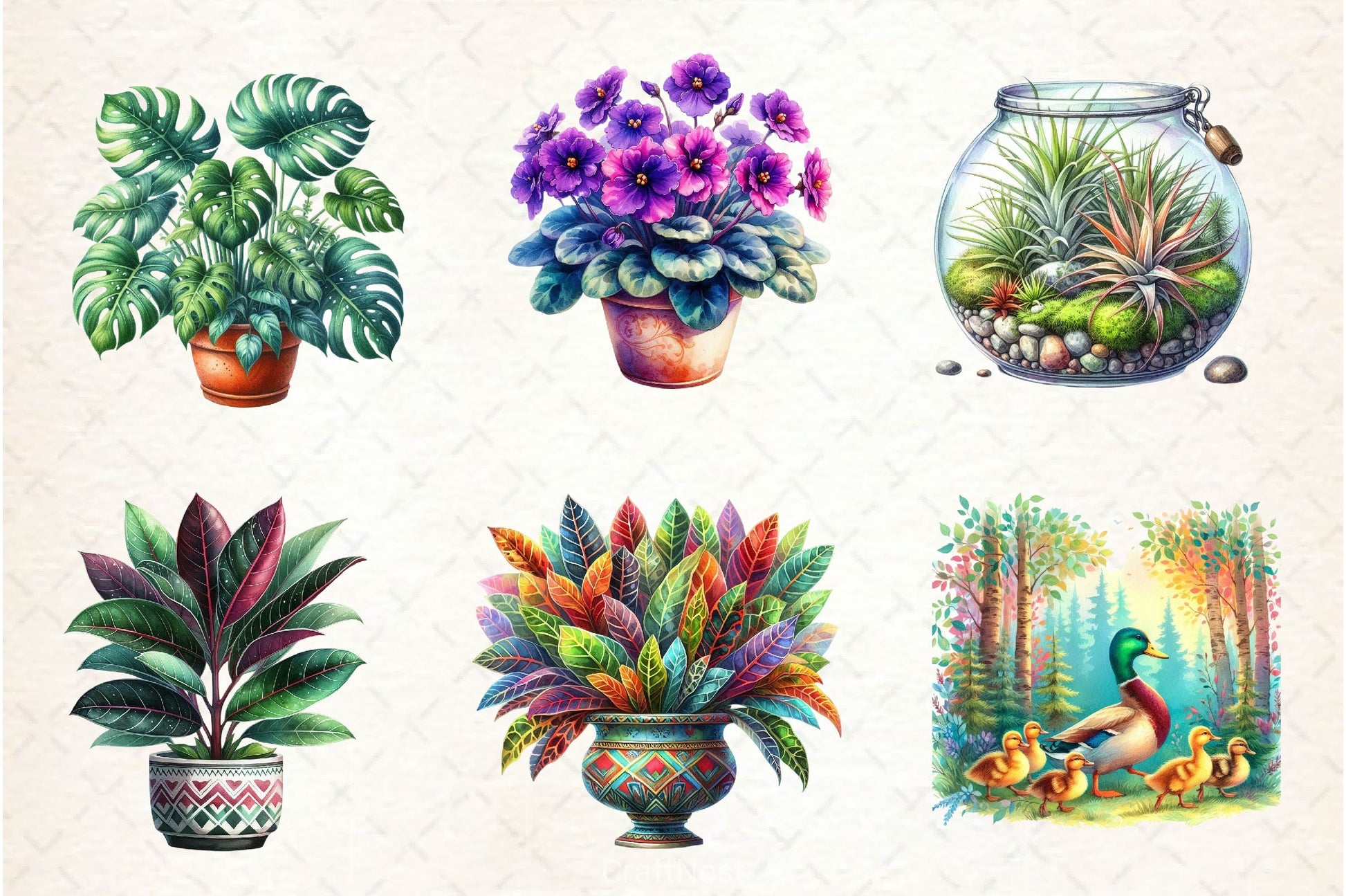 Houseplant Clipart Bundle 3 - CraftNest - Digital Crafting and Art