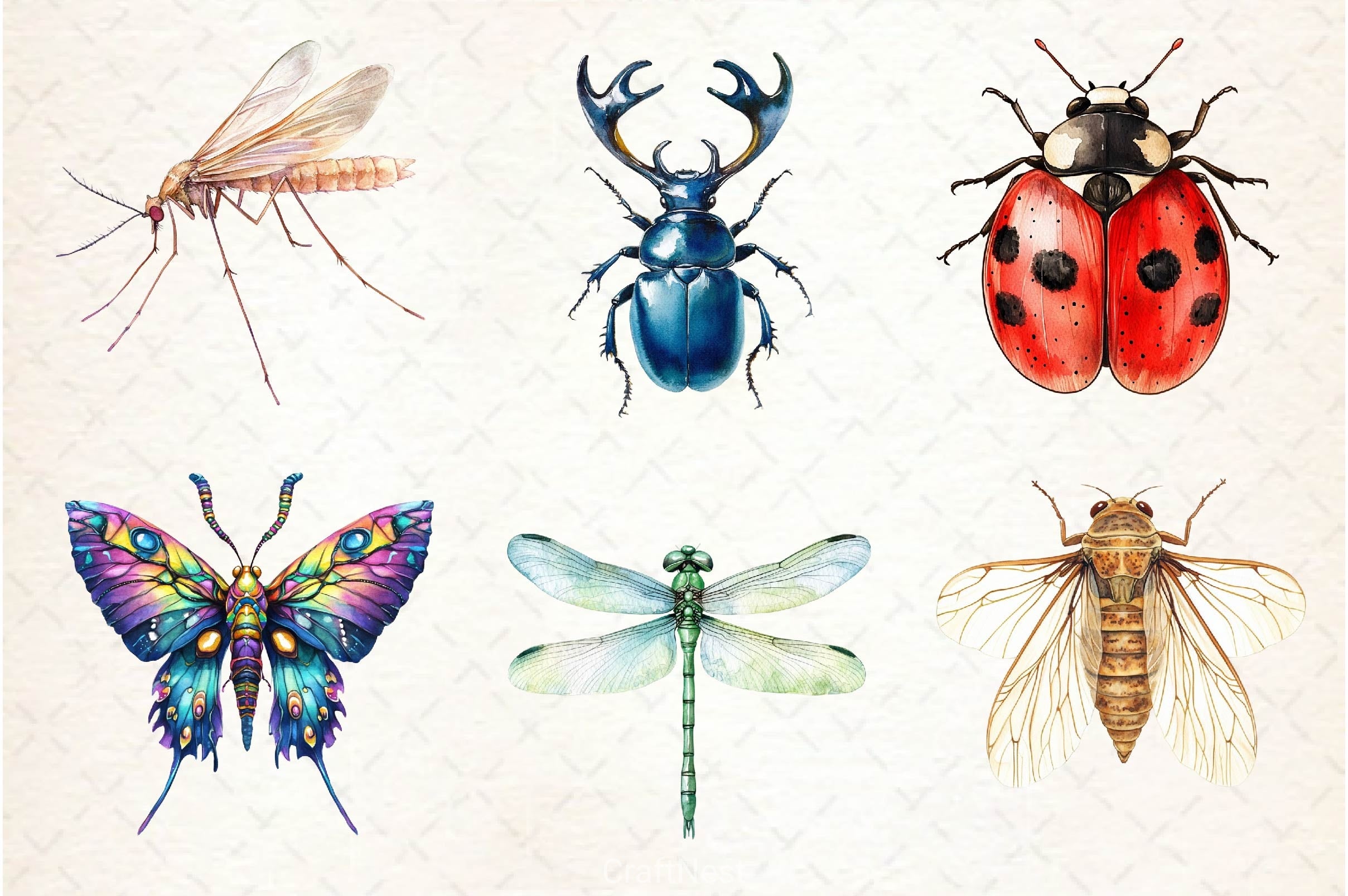 Bugs Clipart Bundle - CraftNest - Digital Crafting and Art