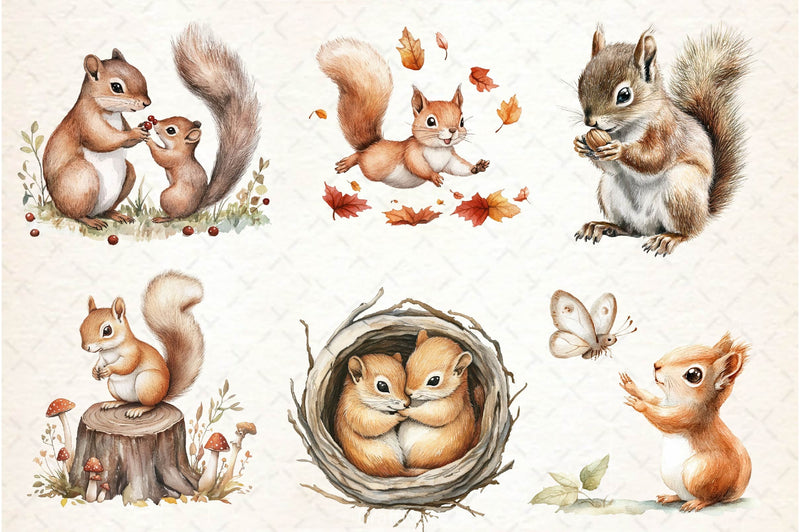Squirrel Baby Clipart Bundle 2 - CraftNest - Digital Crafting and Art