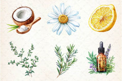 Natural Remedies Clipart Bundle 3 - CraftNest - Digital Crafting and Art