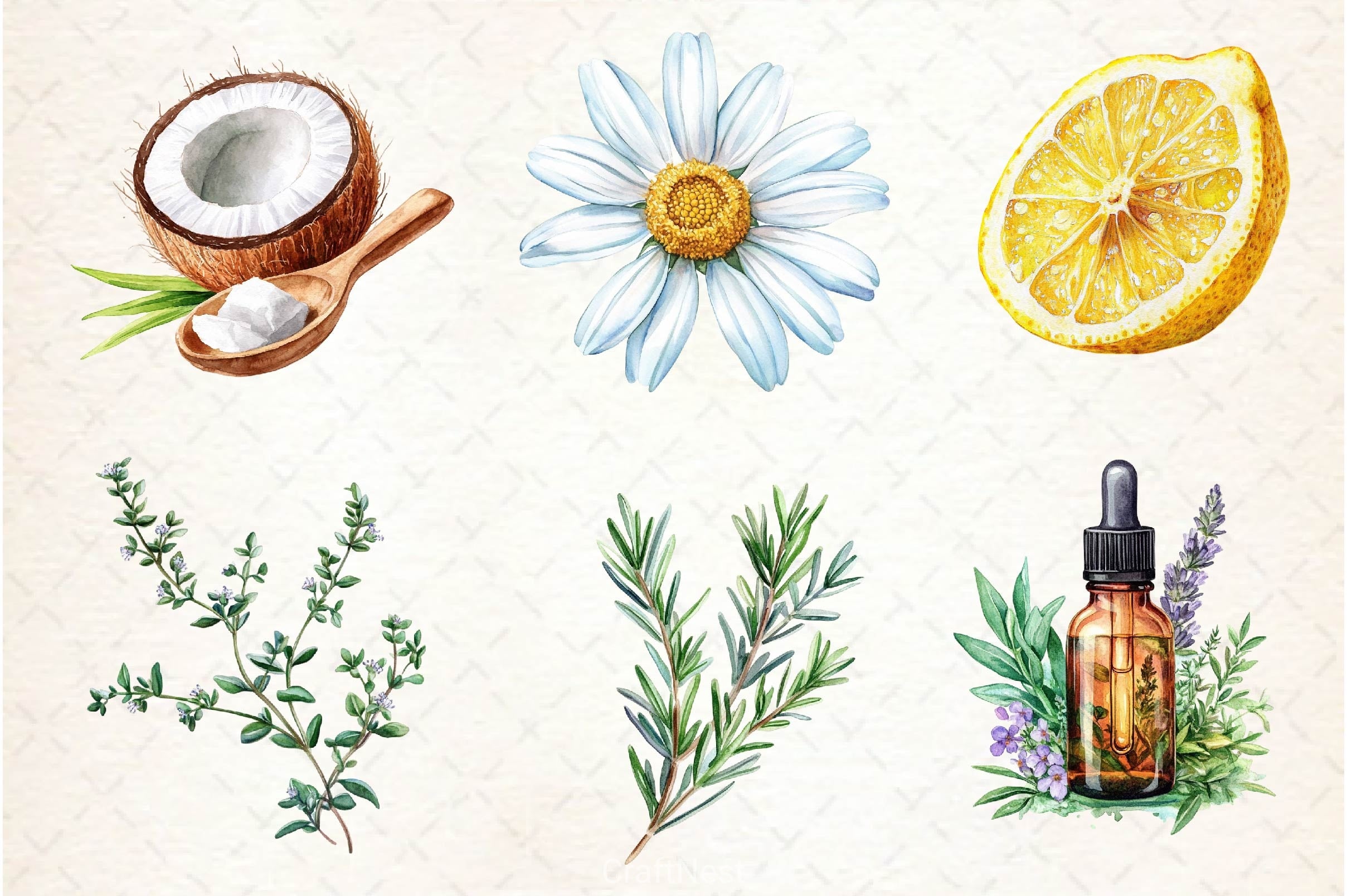 Natural Remedies Clipart Bundle 3 - CraftNest - Digital Crafting and Art