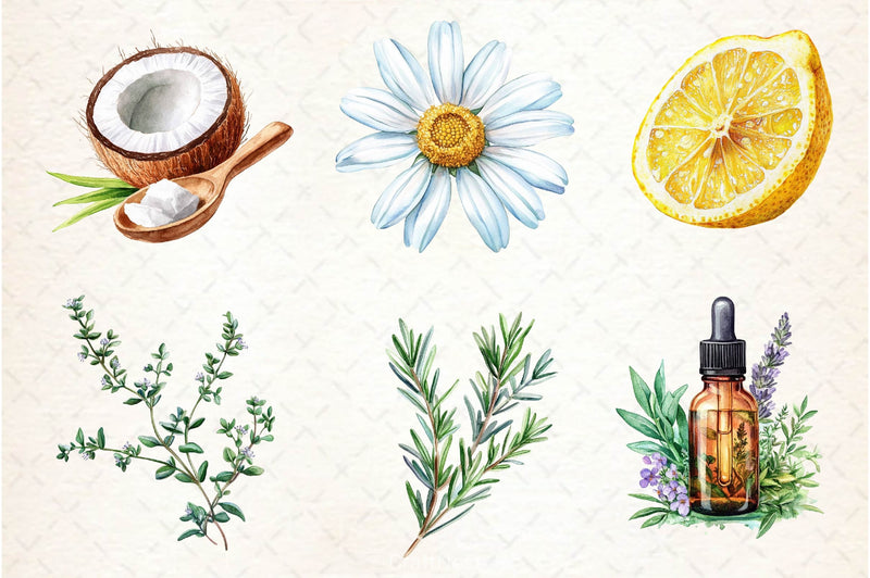 Natural Remedies Clipart Bundle 3 - CraftNest - Digital Crafting and Art