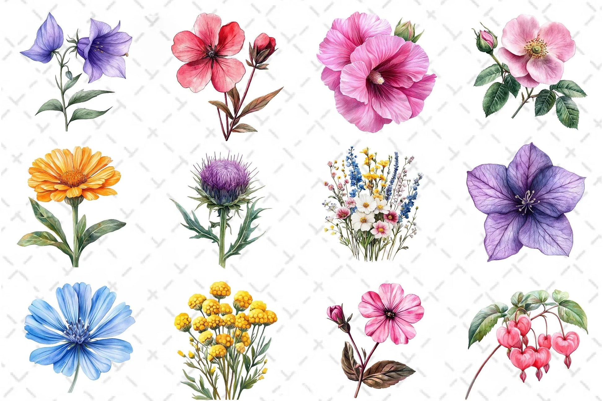 Colorful Meadow Flower Clipart Bundle - CraftNest - Digital Crafting and Art
