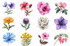 Colorful Meadow Flower Clipart Bundle - CraftNest - Digital Crafting and Art
