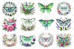 Botanical Floral Luna Moth Clipart Bundle - CraftNest - Digital Crafting and Art