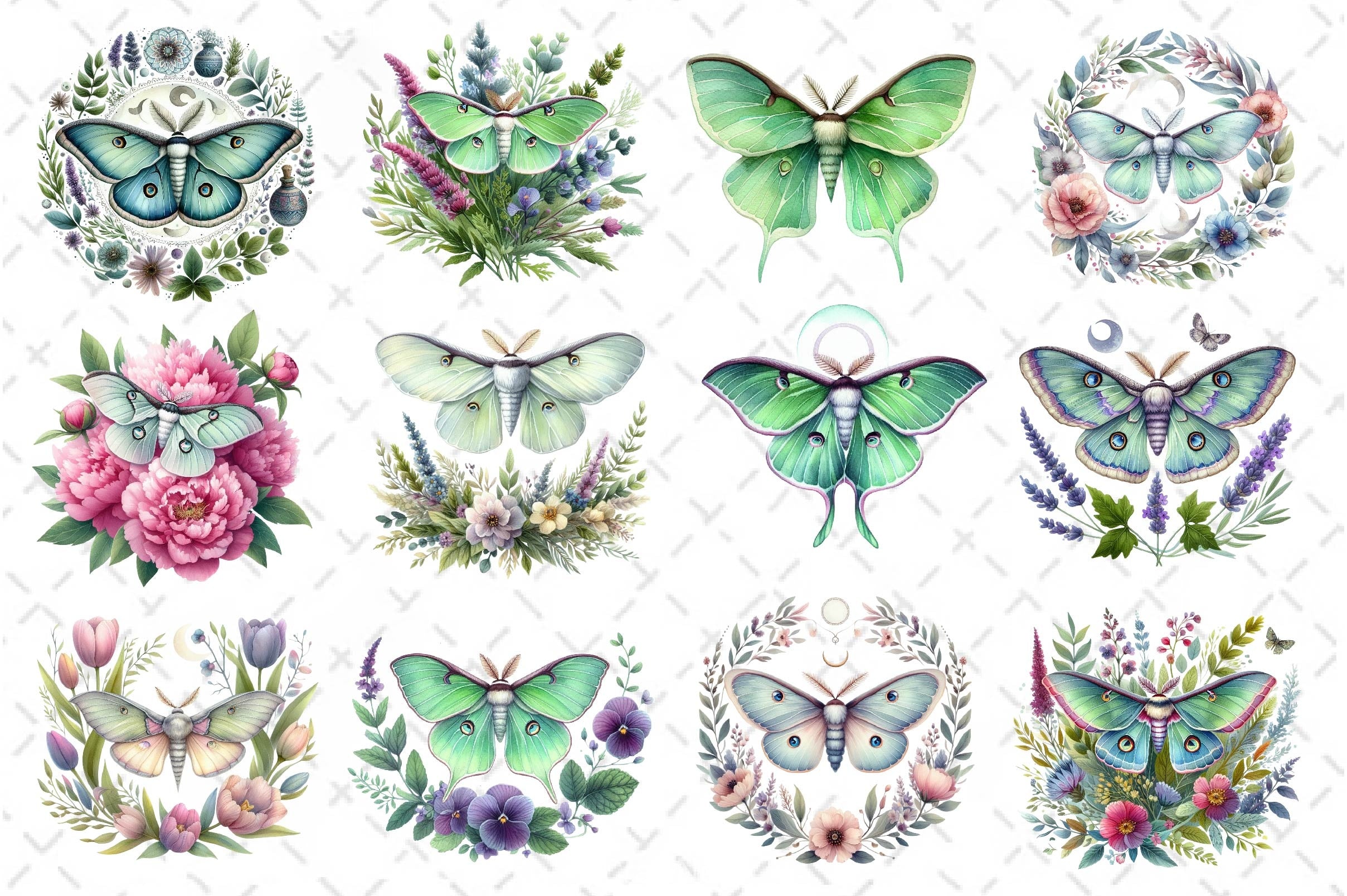 Botanical Floral Luna Moth Clipart Bundle - CraftNest - Digital Crafting and Art