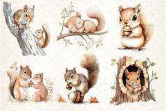 Squirrel Baby Clipart Bundle 2 - CraftNest - Digital Crafting and Art