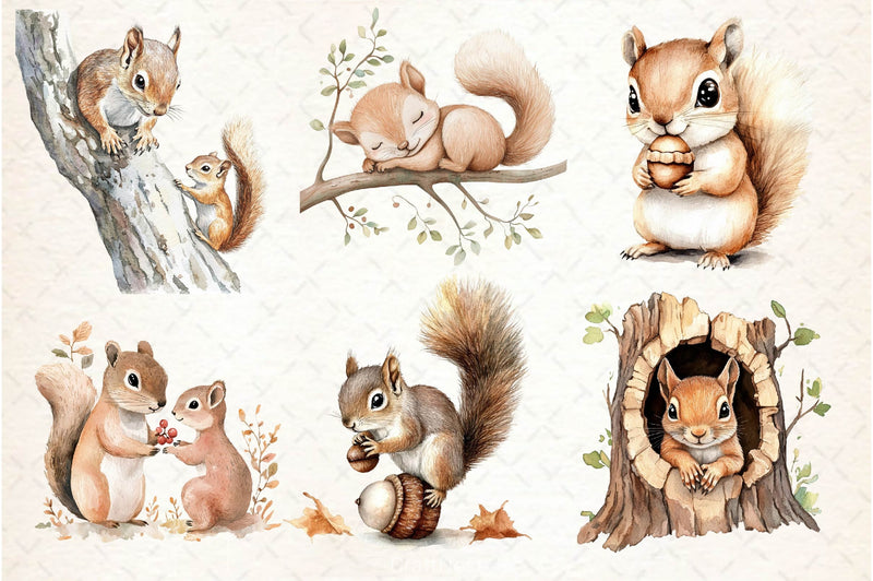 Squirrel Baby Clipart Bundle 2 - CraftNest - Digital Crafting and Art
