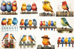 Quirky Birds On Fence Clipart Bundle - CraftNest - Digital Crafting and Art