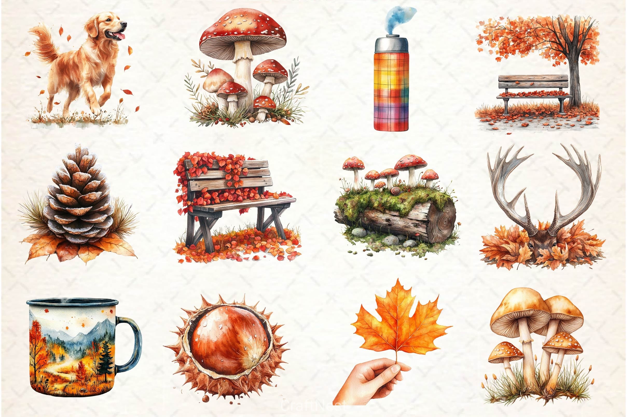 Autumn Nature Walk Clipart Bundle 3 - CraftNest - Digital Crafting and Art