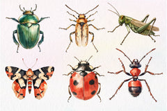 Vintage Insect Clipart Bundle - CraftNest - Digital Crafting and Art