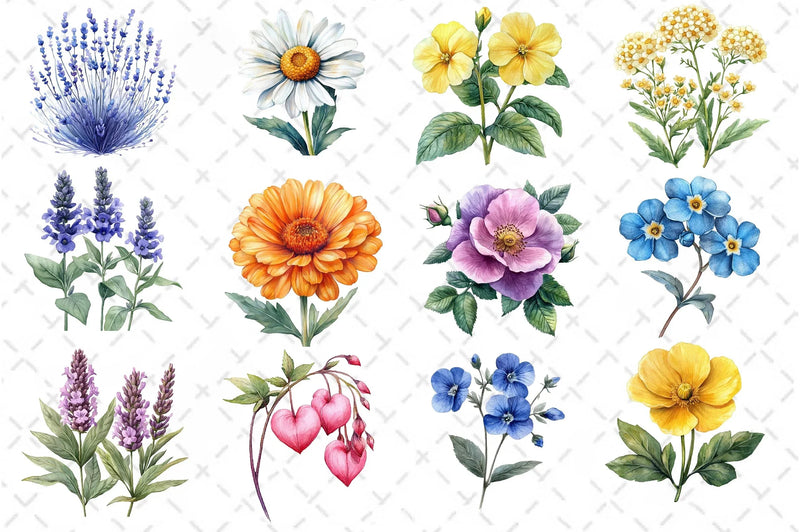 Colorful Meadow Flower Clipart Bundle - CraftNest - Digital Crafting and Art