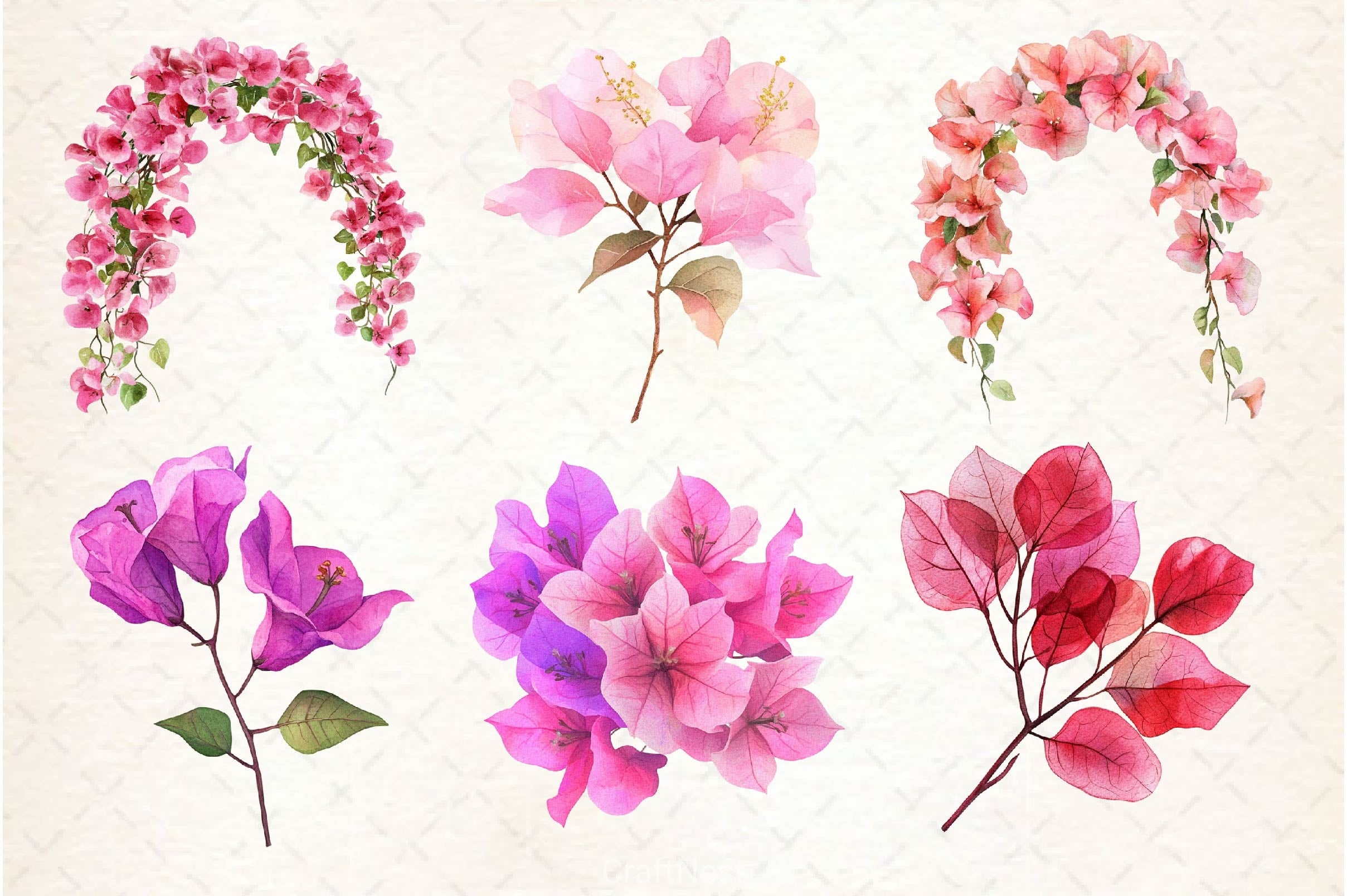 Bougainvillea Flower Clipart Bundle 5 - CraftNest - Digital Crafting and Art