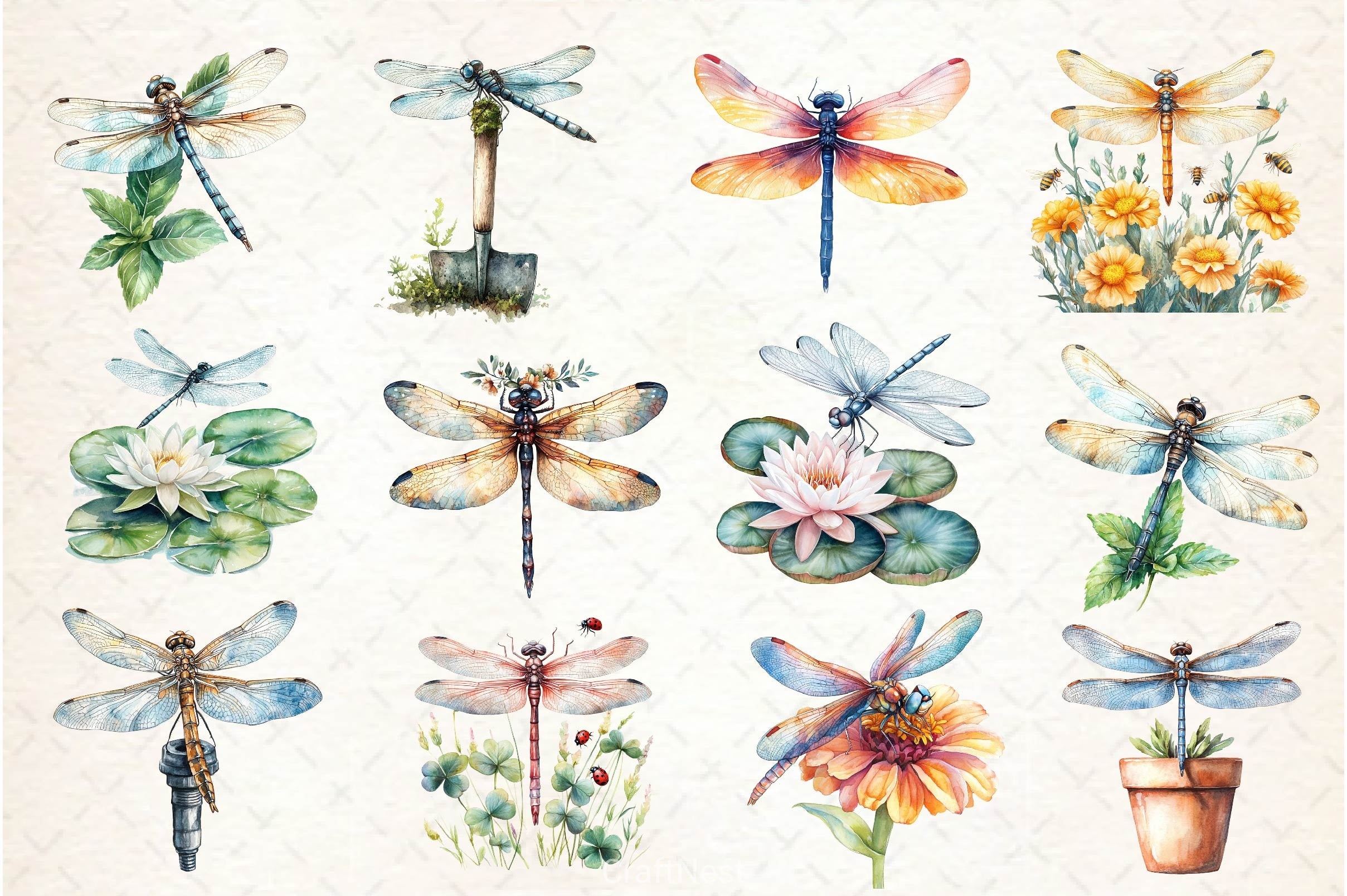 Summer Dragonfly Garden Clipart Bundle 2 - CraftNest - Digital Crafting and Art
