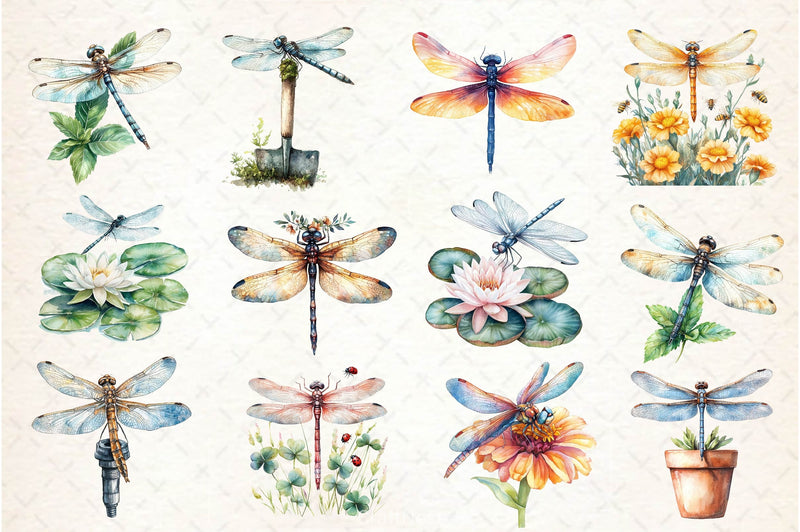 Summer Dragonfly Garden Clipart Bundle 2 - CraftNest - Digital Crafting and Art
