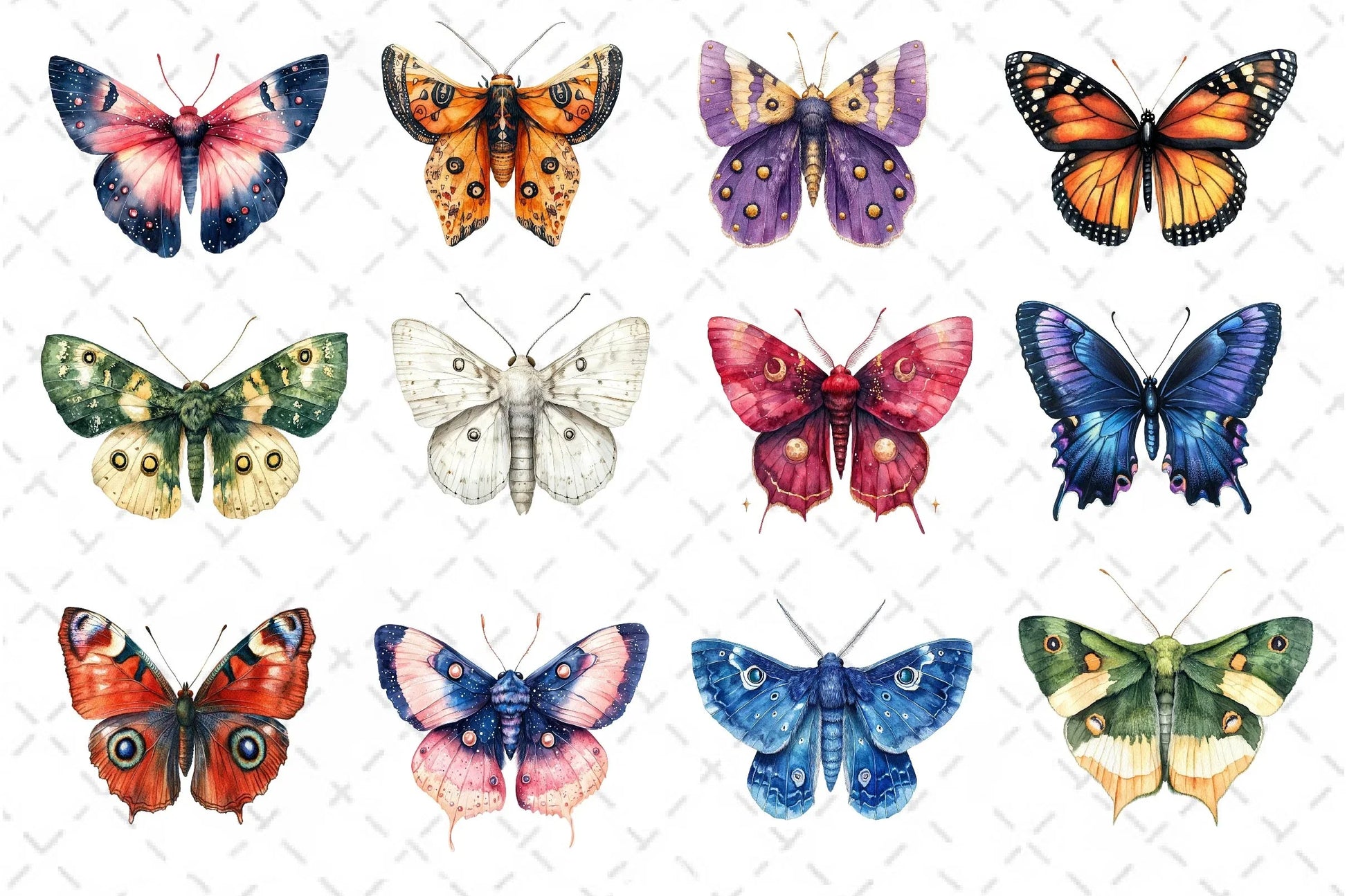 Insects Butterfly & Moth Clipart Bundle - CraftNest - Digital Crafting and Art