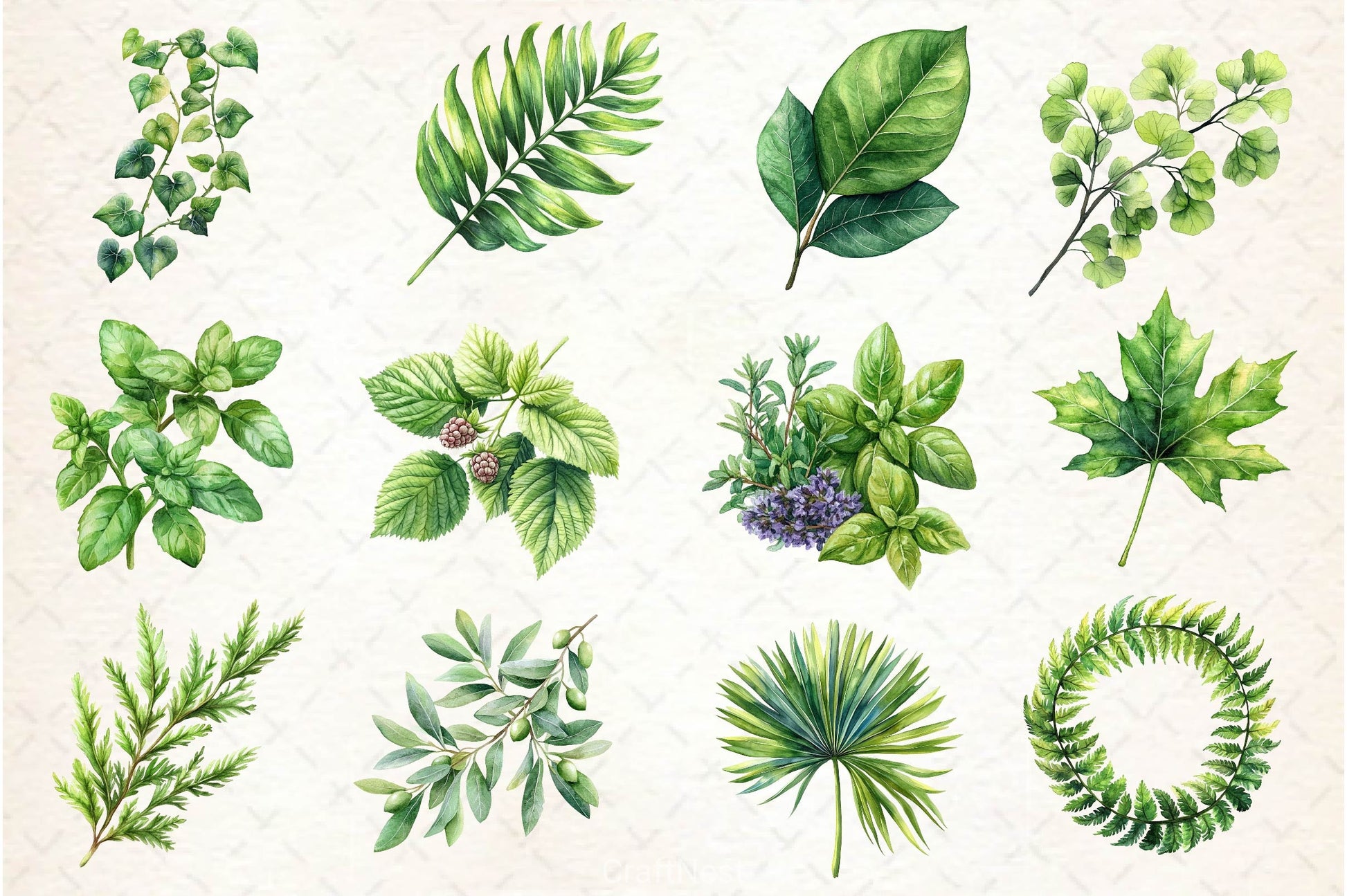 Green Summer Foliage Clipart Bundle 2 - CraftNest - Digital Crafting and Art