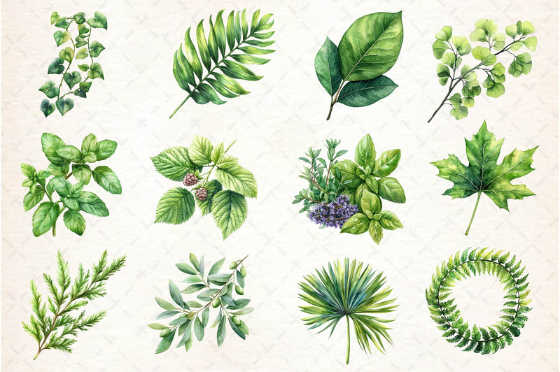 Green Summer Foliage Clipart Bundle 2 - CraftNest - Digital Crafting and Art