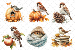 Autumn Sparrows Bird Clipart Bundle 2 - CraftNest - Digital Crafting and Art