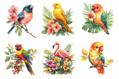 Tropical Birds Garden Clipart Bundle - CraftNest - Digital Crafting and Art