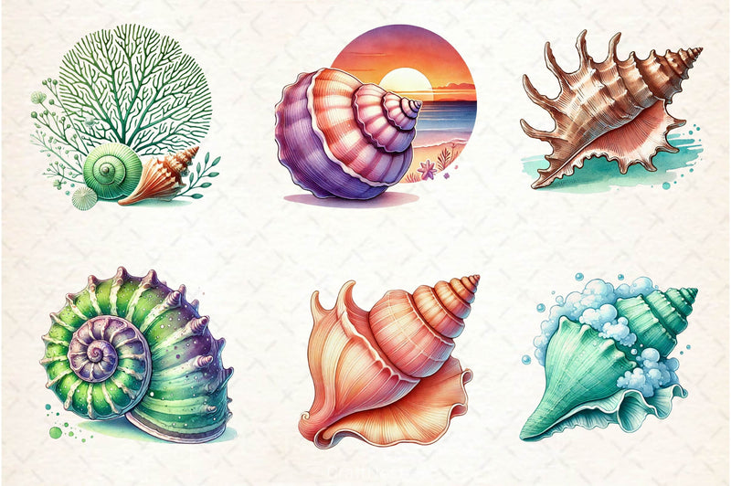 Seashells Clipart Bundle 2 - CraftNest - Digital Crafting and Art