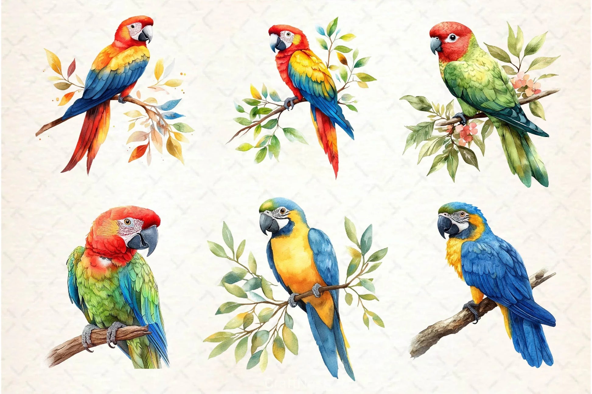 Parrot Clipart Bundle - CraftNest - Digital Crafting and Art