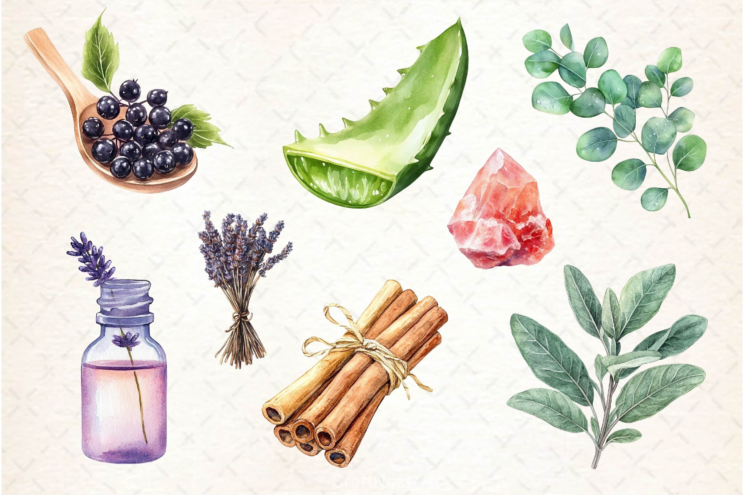 Natural Remedies Clipart Bundle 3 - CraftNest - Digital Crafting and Art