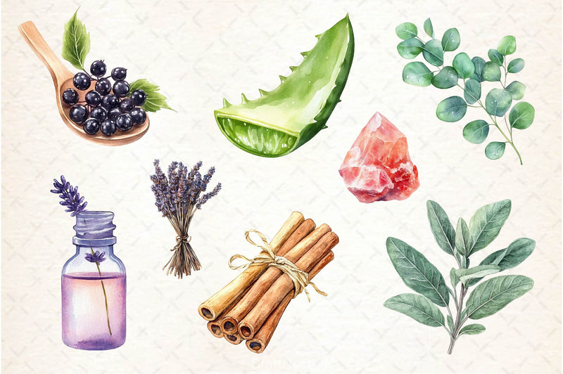 Natural Remedies Clipart Bundle 3 - CraftNest - Digital Crafting and Art