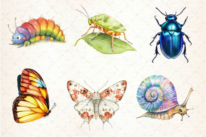 Bugs Clipart Bundle - CraftNest - Digital Crafting and Art