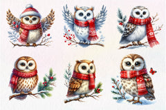 Christmas Owl Clipart Bundle 4 - CraftNest - Digital Crafting and Art
