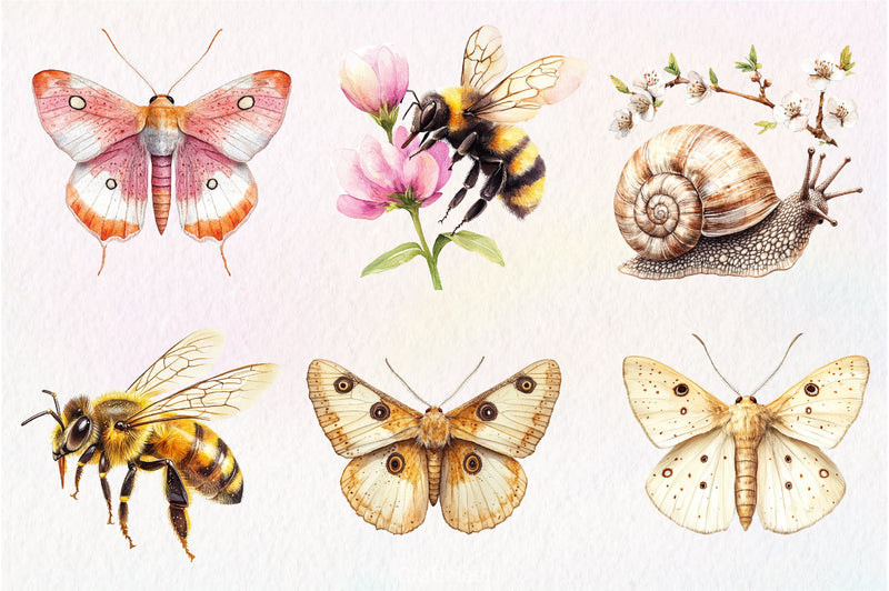 Vintage Spring Insect Clipart Bundle 56 - CraftNest - Digital Crafting and Art