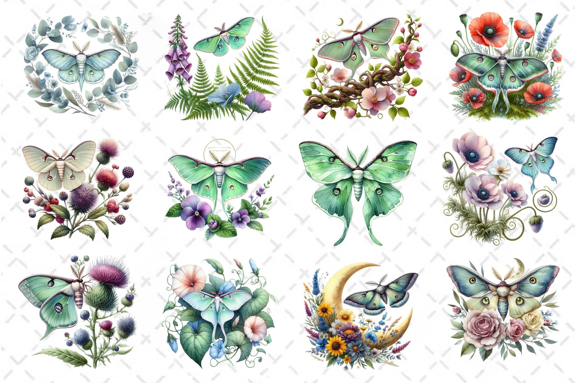 Botanical Floral Luna Moth Clipart Bundle - CraftNest - Digital Crafting and Art