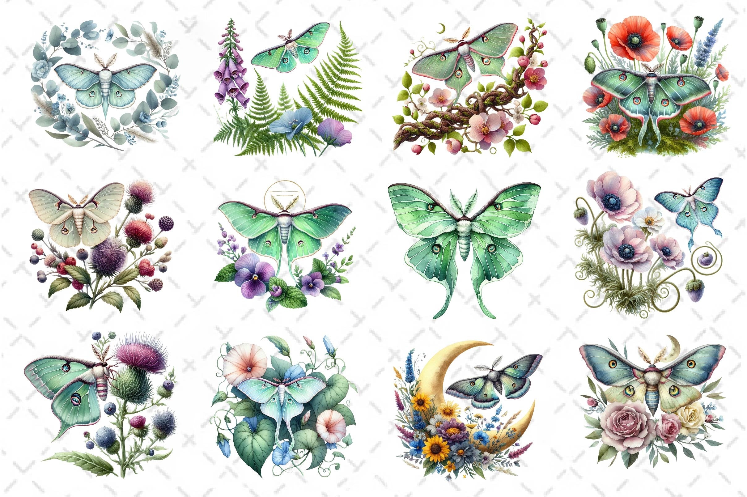 Botanical Floral Luna Moth Clipart Bundle - CraftNest - Digital Crafting and Art