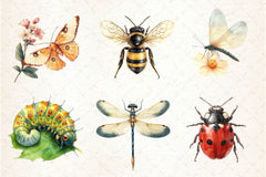 Vintage Spring Insect Clipart Bundle 5 - CraftNest - Digital Crafting and Art