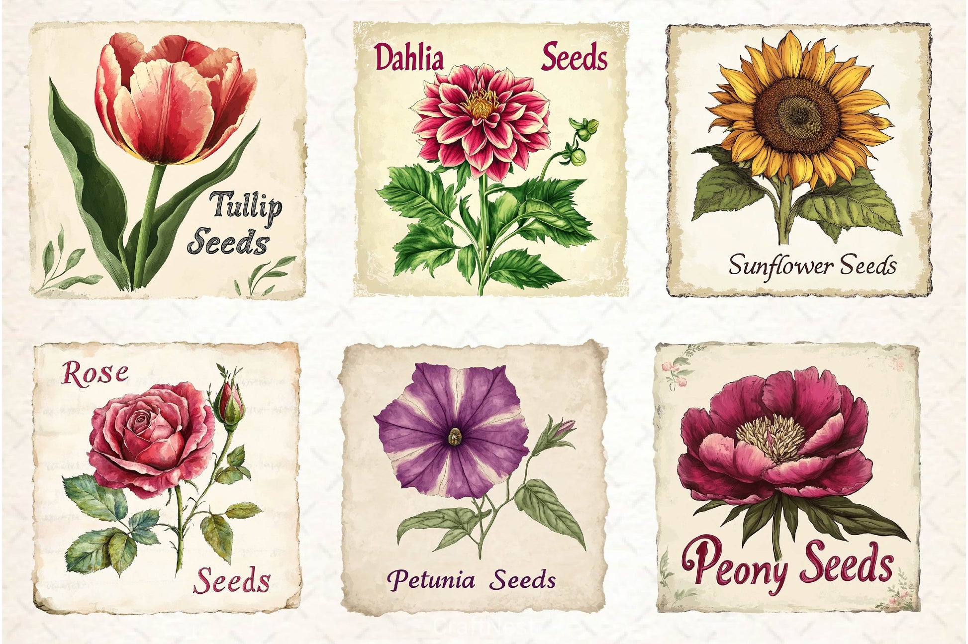 Vintage Flowers Seed Packet Clipart Bundle 2 - CraftNest - Digital Crafting and Art