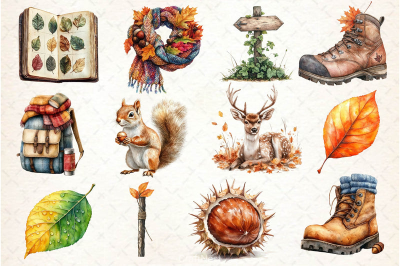 Autumn Nature Walk Clipart Bundle 3 - CraftNest - Digital Crafting and Art